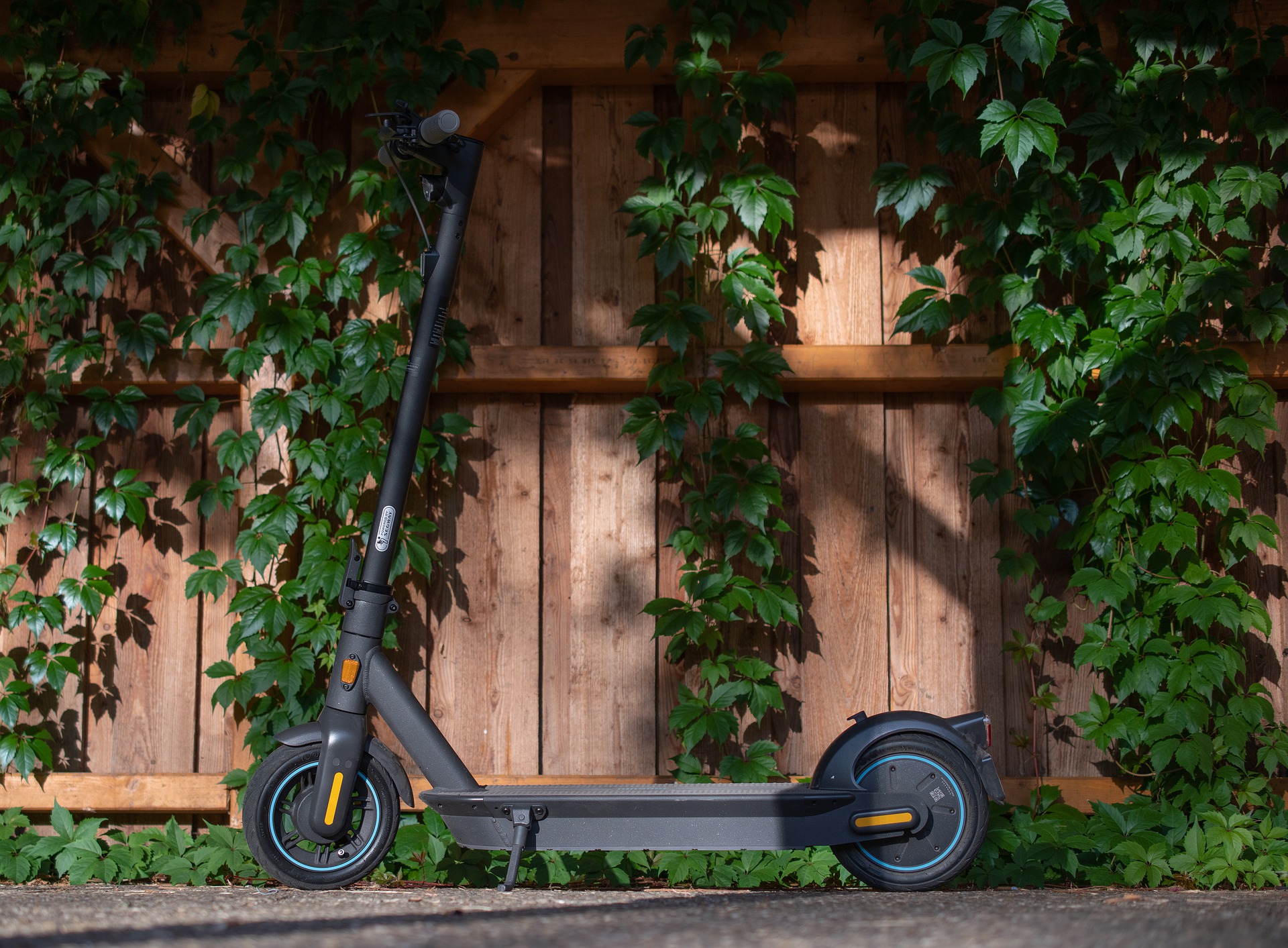 2021 I'm Thinking Of Scooter Things 2021 I'm Thinking Of Scooter Things